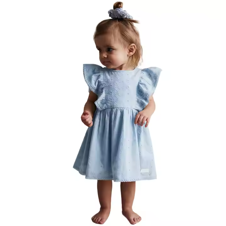 Custom Summer Cotton Embroidery Dresses for Toddlers Dusty Blue With Ruffle Sleeves Toddler Girls Clothing
